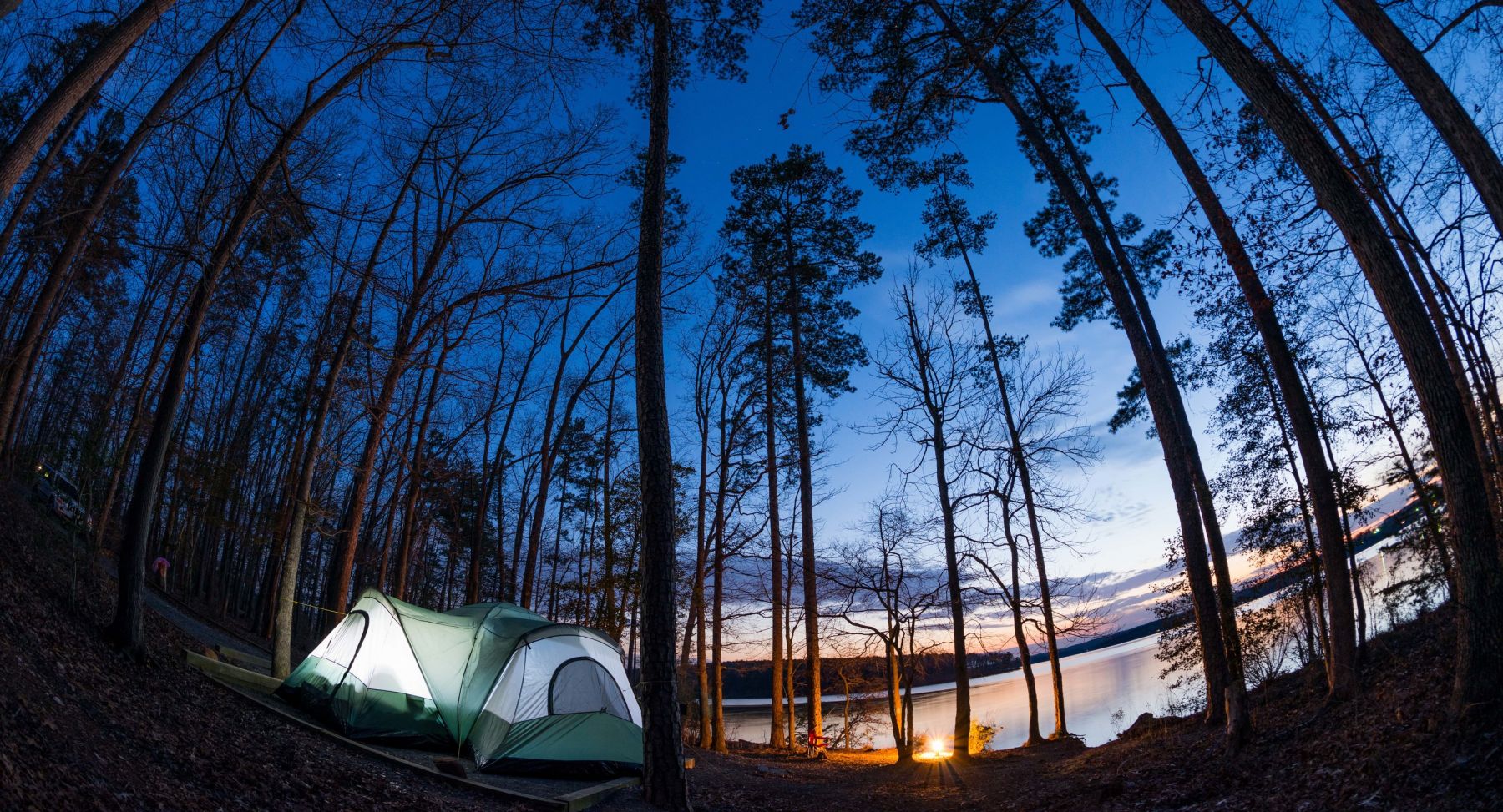 Go Wild 4 North Carolina National Forests to Explore